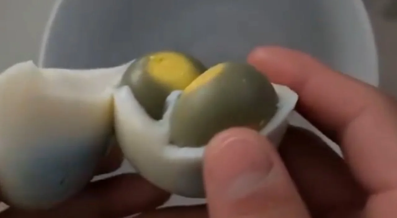 huevos, huevo, huevo duro, huevo cocido